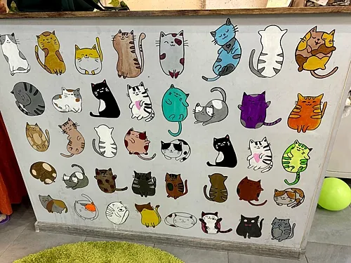 Зал — Котомания