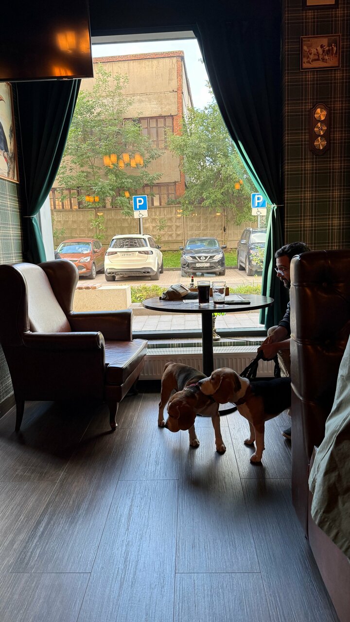 Зал — Goldfinch Pub