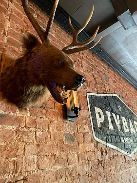 Pivbar, Москва — фото площадки