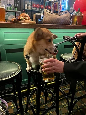 Зал — Harat's pub