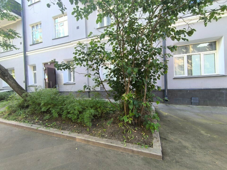 Зал — 🆓 Свободный #16187