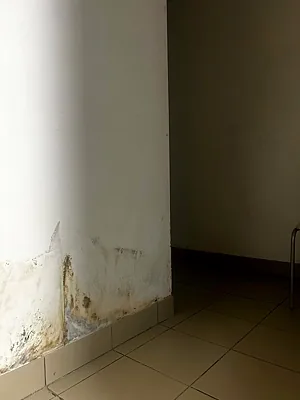 Сова, Зал — фото