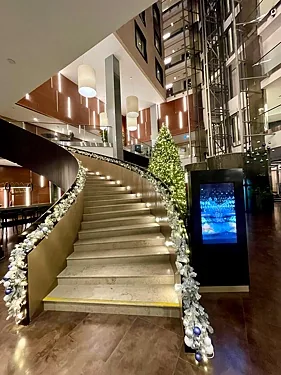 Зал — DoubleTree by Hilton Moscow - Vnukovo Airport