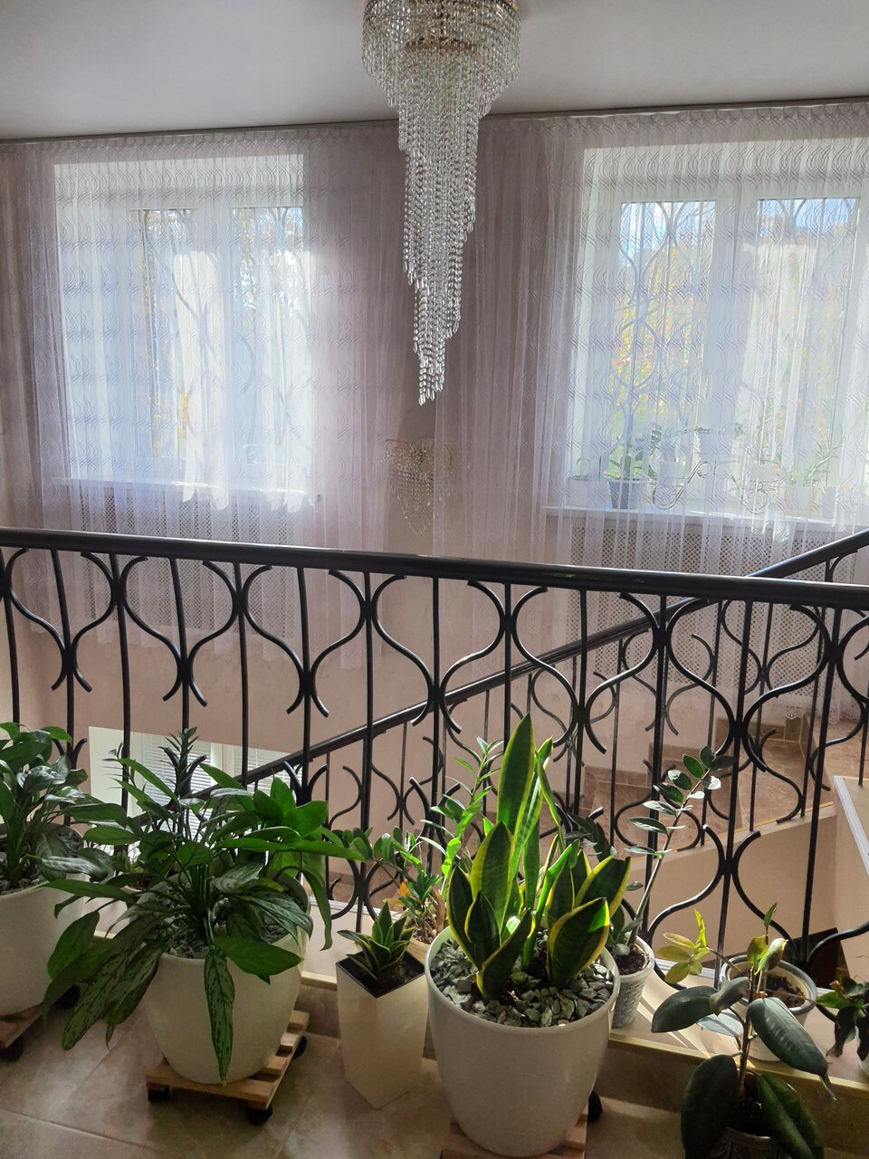 Зал — Каталея