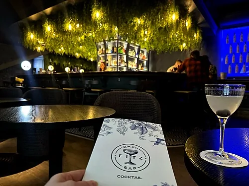 Фитц джин, Москва — фото площадки