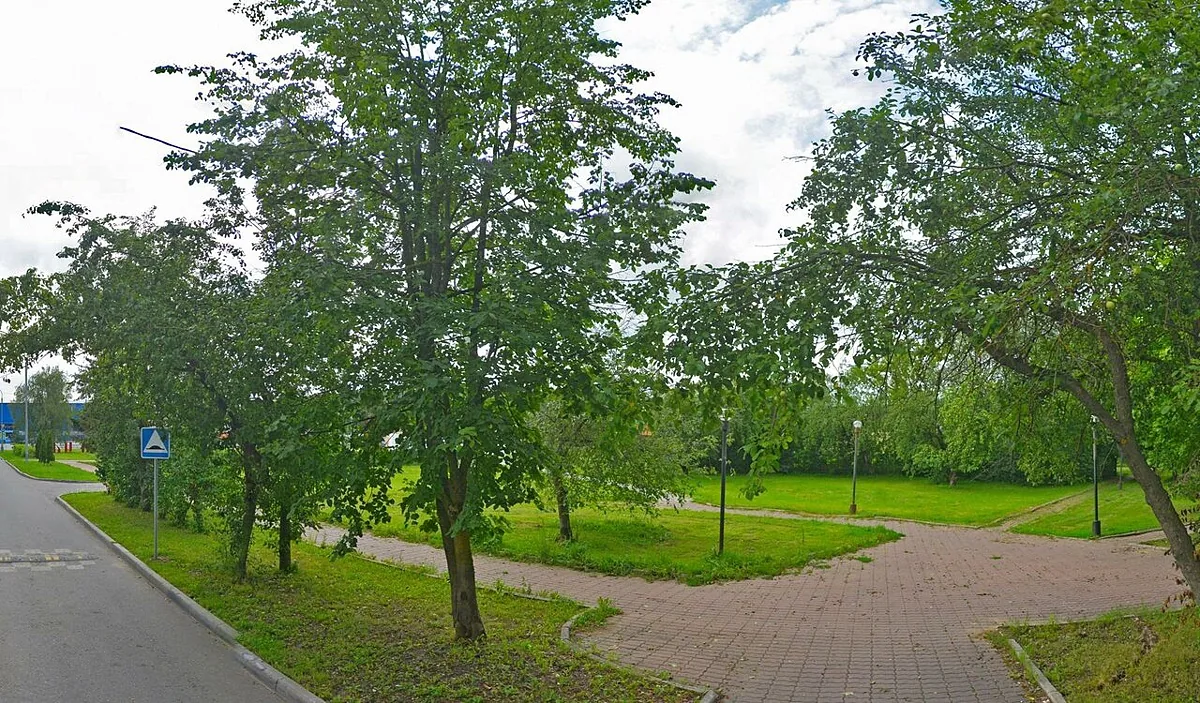 Олимпийские Надежды, Москва — фото площадки