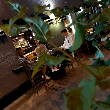 Зал — 351 Bar