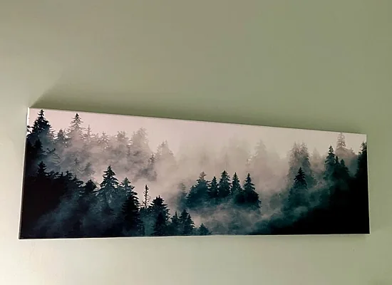 Апартоника, Зал — фото