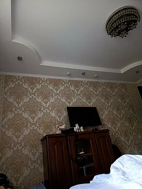 Зал — Сокол