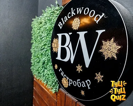 BlackWood, Жуковский — фото площадки