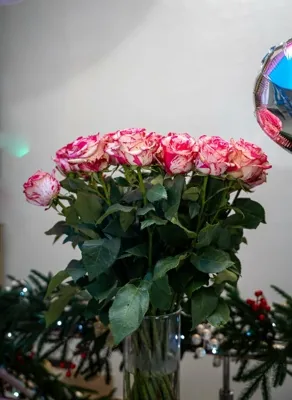 Зал — подробнее о зале