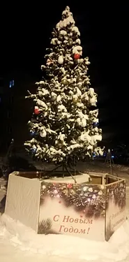 Виват, Дмитров — фото площадки
