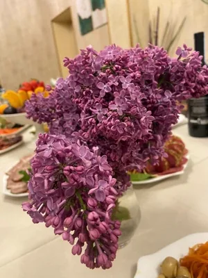 Зал — подробнее о зале