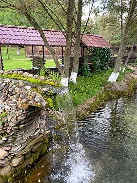Трактир Алеша, Одинцово — фото площадки