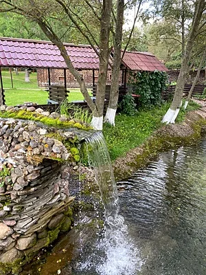 Трактир Алеша, Зал — фото