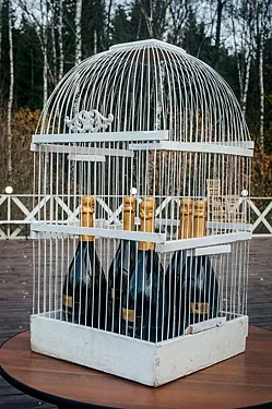 Царевна-Лебедь, Балашиха — фото площадки