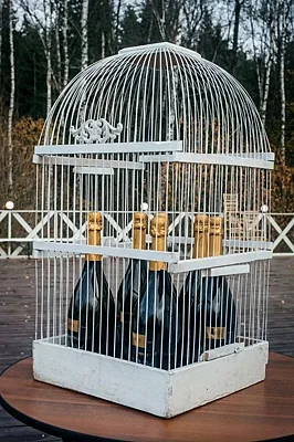 Царевна-Лебедь, Зал — фото