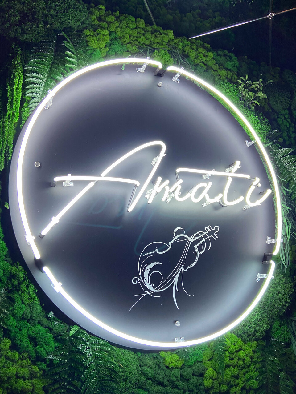 Зал — Amati