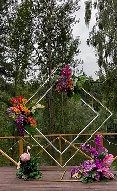 Горки-холидей, Химки — фото площадки