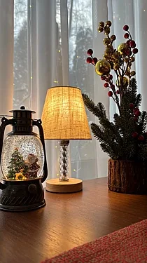 Фаворит, Подольск — фото площадки