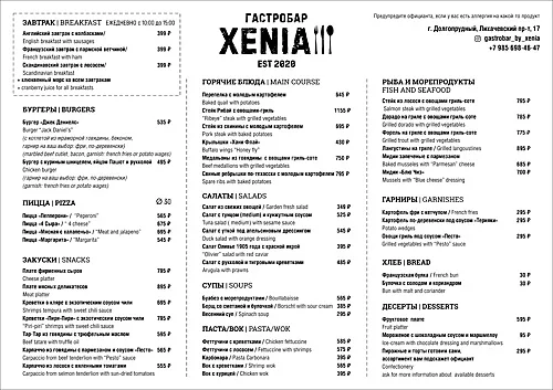Xenia, Долгопрудный — фото площадки