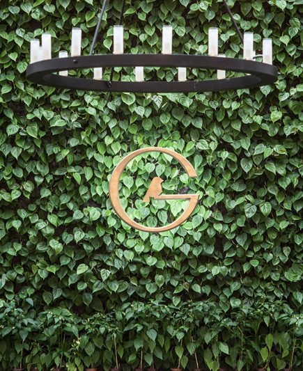 Логотип Giardino