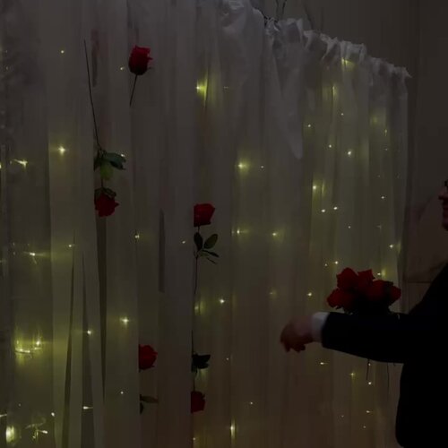 Зал — Кокон