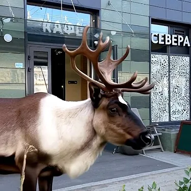 СеверА, Санкт-Петербург — фото площадки