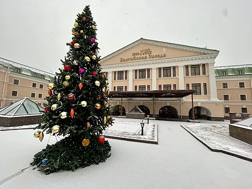 Балтийская Звезда, Санкт-Петербург — фото площадки