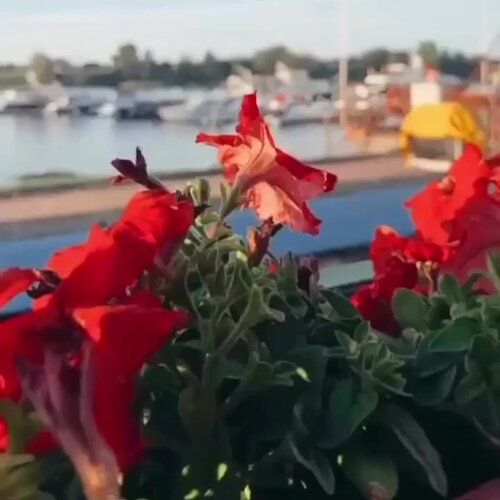 Зал — Якорь