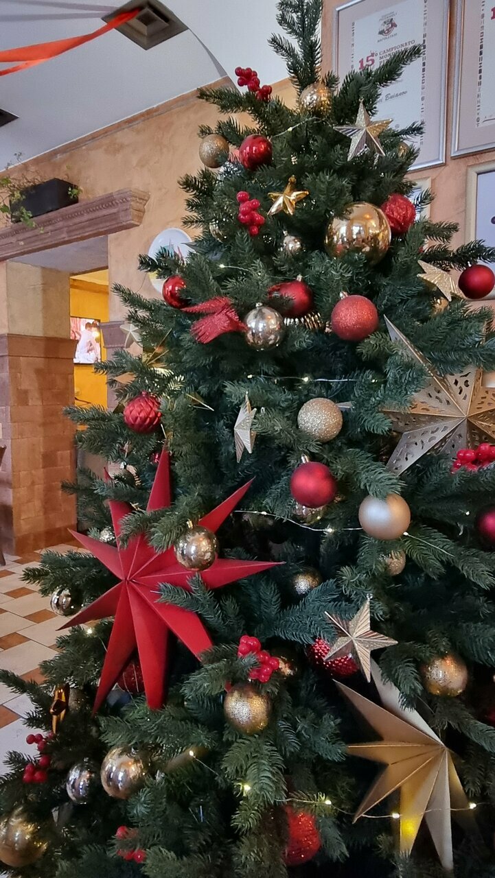 Зал — Мама Рома