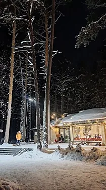 Шишкин, Новосибирск — фото площадки