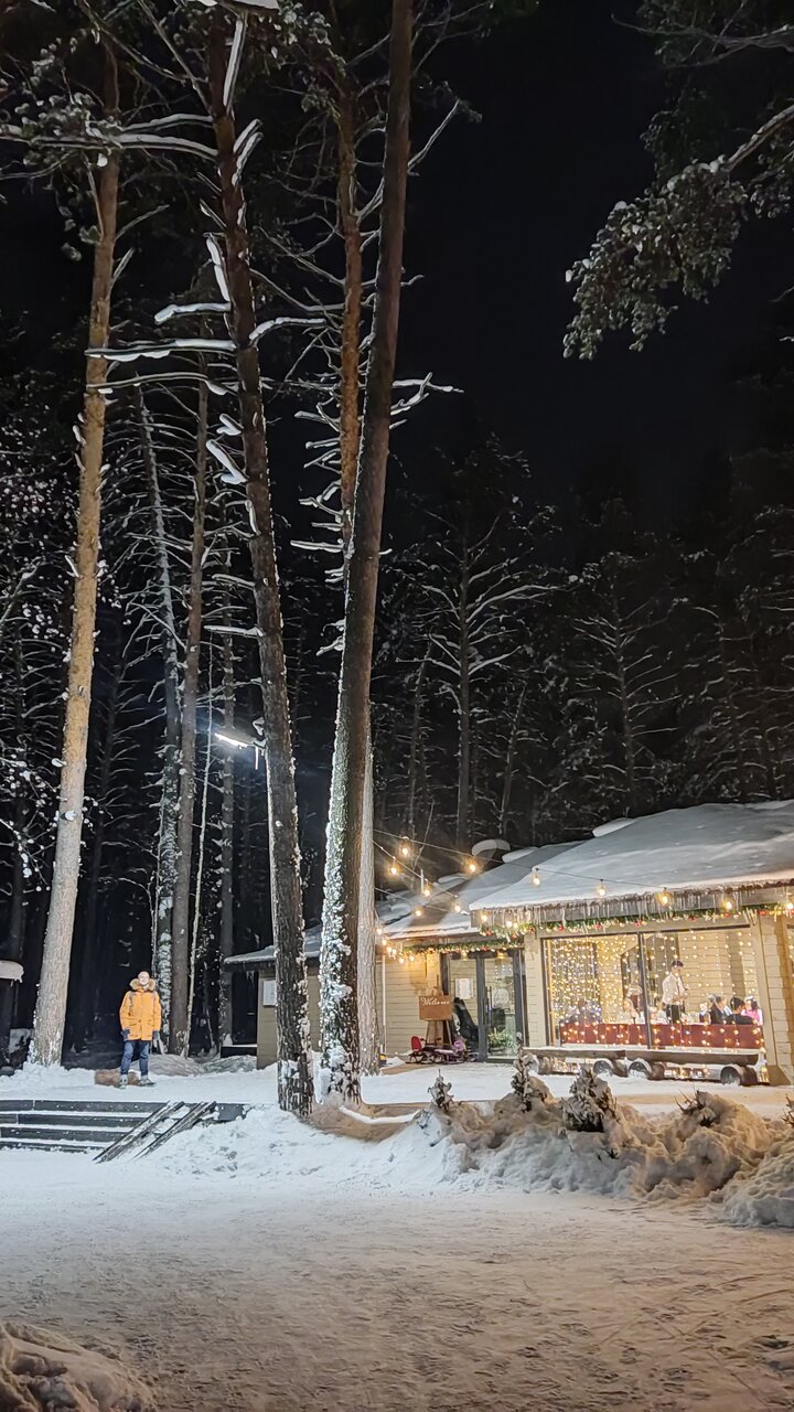 Зал — Шишкин