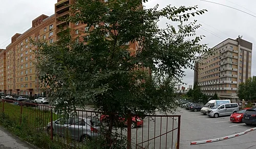 Кудри и цветы, Новосибирск — фото площадки