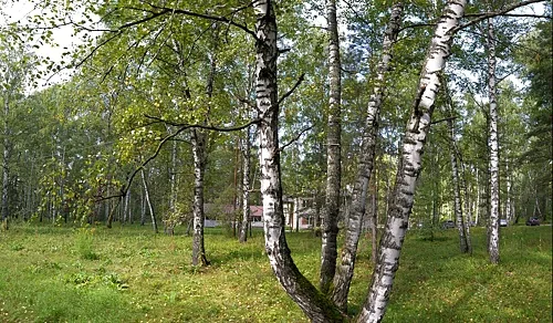 Жемчужина, Новосибирск — фото площадки
