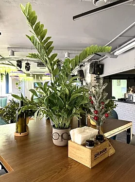 Шуман, Екатеринбург — фото площадки