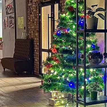 Konon Doil, Екатеринбург — фото площадки