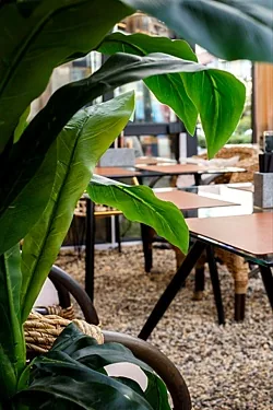 Уголь, Челябинск — фото площадки