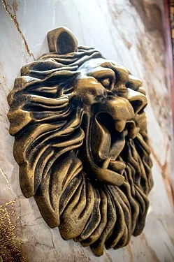 Лион, Челябинск — фото площадки
