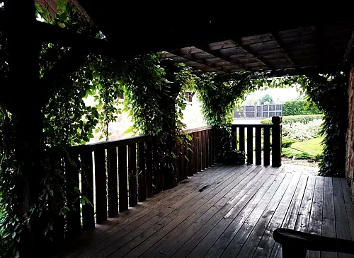 Берендей Хаус, Барнаул — фото площадки