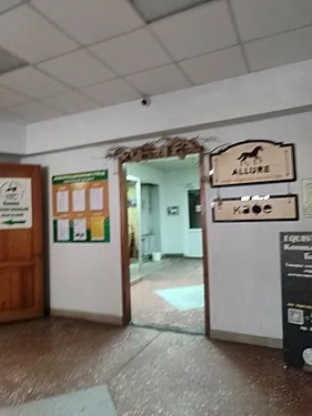 Allure, Барнаул — фото площадки