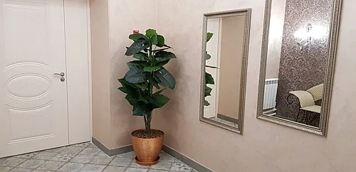 Рататуй, Ульяновск — фото площадки