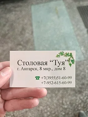 Туя, Иркутск — фото площадки