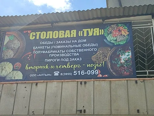 Туя, Иркутск — фото площадки