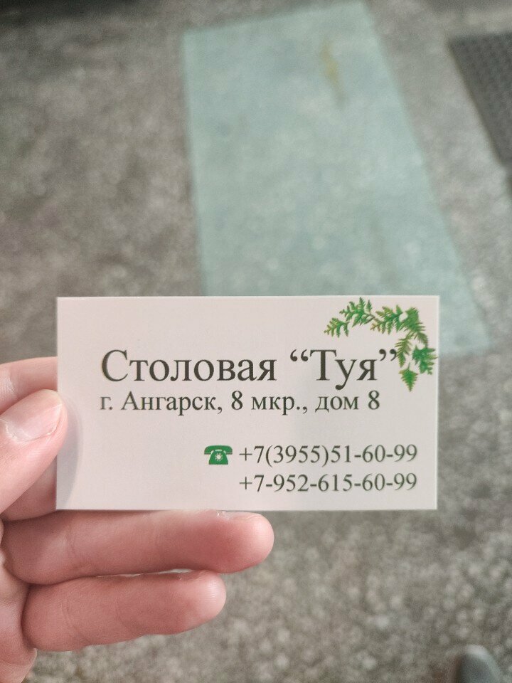 Зал — Туя