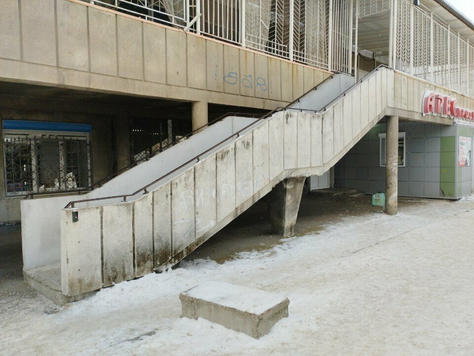 Зал — Туя