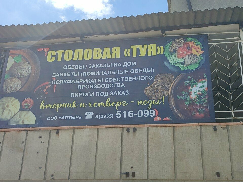 Зал — Туя