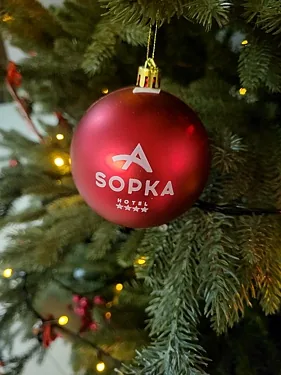 Sopka, Хабаровск — фото площадки