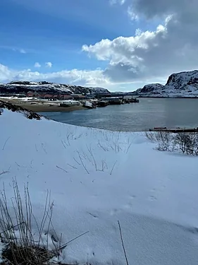 Сайёра, Ярославль — фото площадки