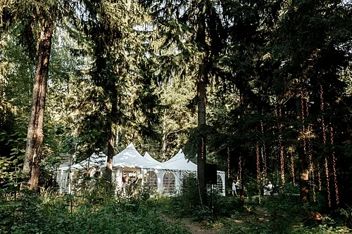 Глэмпинг Ёлки парк, Ярославль — фото площадки
